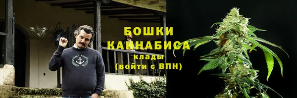 прущие грибы Абинск