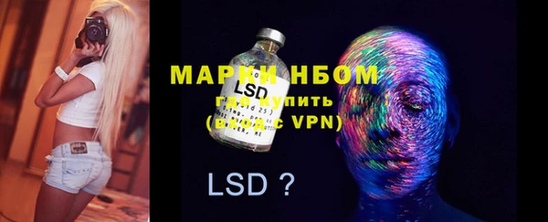 ПСИЛОЦИБИНОВЫЕ ГРИБЫ Абаза
