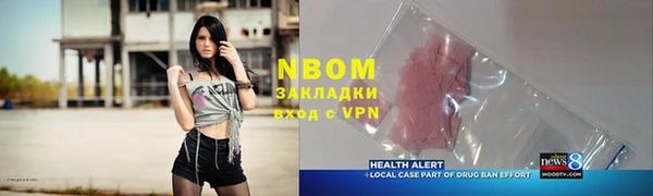 прущие грибы Абинск