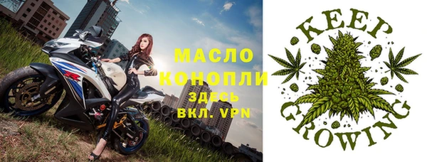 ПСИЛОЦИБИНОВЫЕ ГРИБЫ Абаза