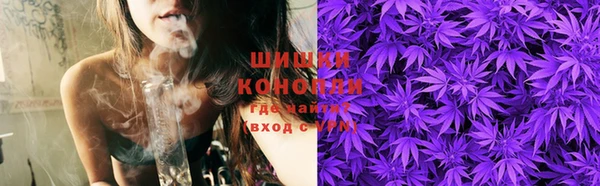 прущие грибы Абинск