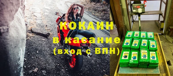 прущие грибы Абинск