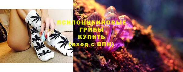 прущие грибы Абинск