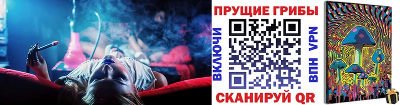 ссылка на мегу купить наркоту Заволжье Псилоцибиновые грибы Magic Shrooms